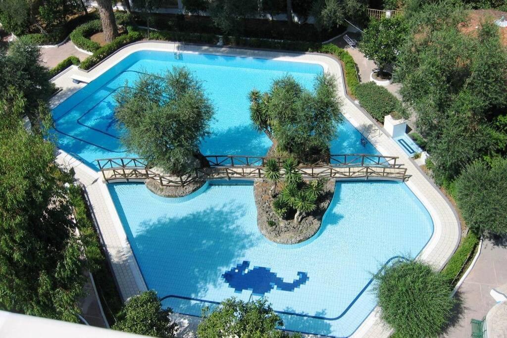 Virginia'S Guest House Sorrento Eksteriør billede
